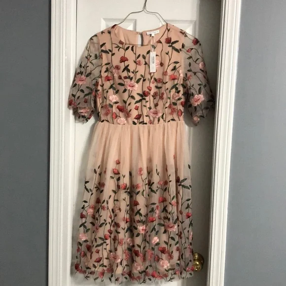 Baltic Born Duchess Embroidered Tulle Puff Sleeve Midi Dress in Rose Garden - Picture 6 of 14